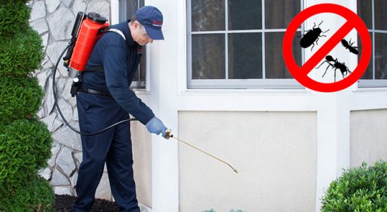 Bayramiç Kemirgen İlaçlama böcek ilaçlama ve haşere kontrolü — ilaclama-tr.com